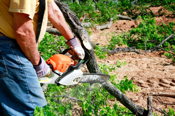 Best Lawn Irrigation Installation and Maintenance  in Oak Valley, NJ
